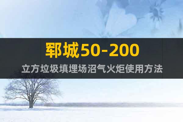 鄆城50-200立方垃圾填埋場沼氣火炬使用方法