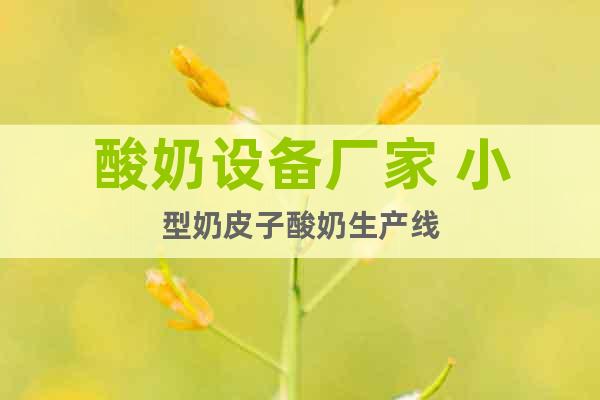 酸奶設(shè)備廠家 小型奶皮子酸奶生產(chǎn)線