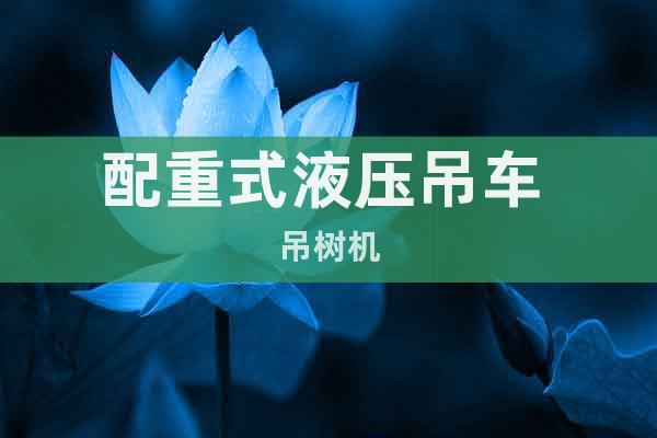 配重式液壓吊車 吊樹機