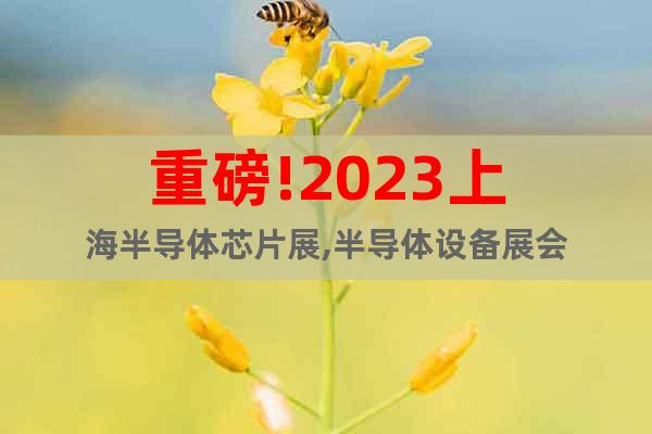 重磅!2023上海半导体芯片展,半导体设备展会