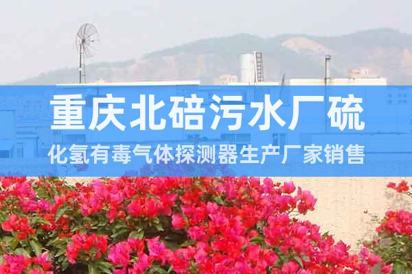 重慶北碚污水廠硫化氫有毒氣體探測器生產廠家銷售