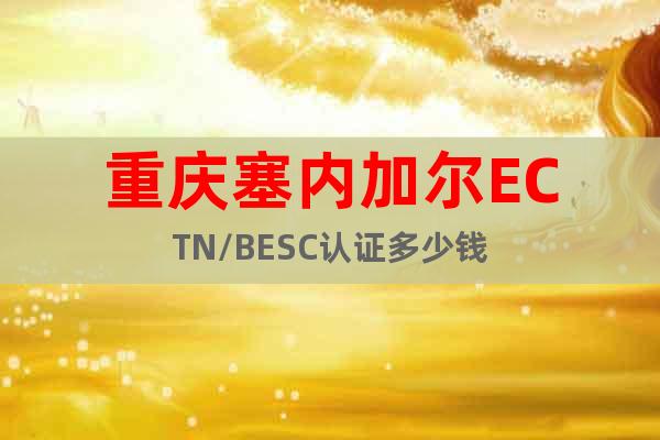 重慶塞內(nèi)加爾ECTN/BESC認證多少錢