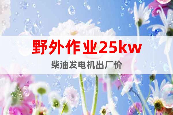 野外作業(yè)25kw柴油發(fā)電機(jī)出廠價(jià)
