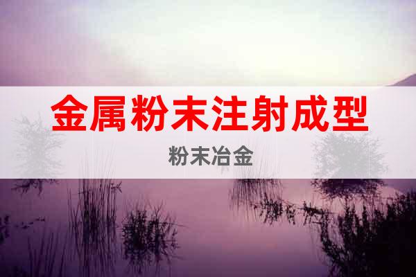 金屬粉末注射成型 粉末冶金