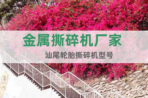 金屬撕碎機(jī)廠家      汕尾輪胎撕碎機(jī)型號(hào)