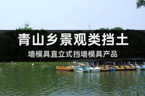 青山鄉(xiāng)景觀類擋土墻模具直立式擋墻模具產(chǎn)品