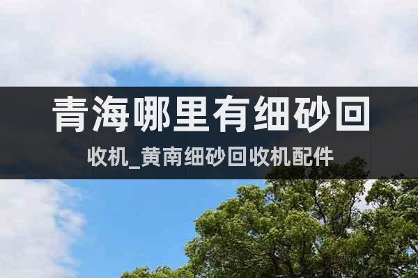青海哪里有細砂回收機_黃南細砂回收機配件