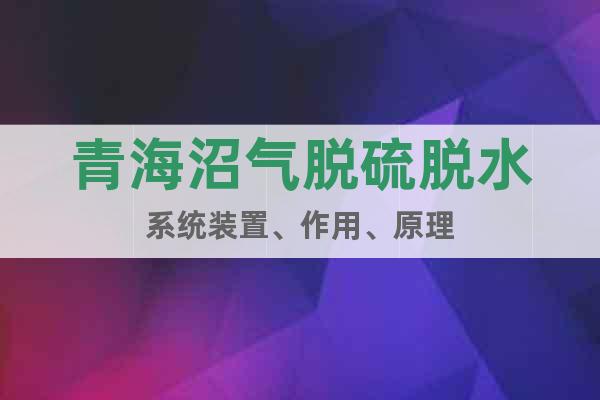 青海沼氣脫硫脫水系統(tǒng)裝置、作用、原理