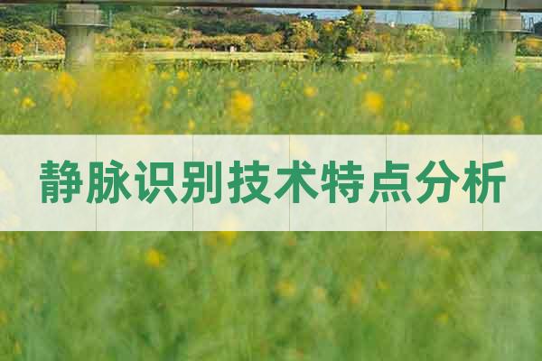 靜脈識別技術(shù)特點(diǎn)分析