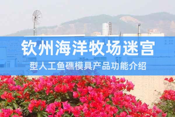 欽州海洋牧場迷宮型人工魚礁模具產(chǎn)品功能介紹