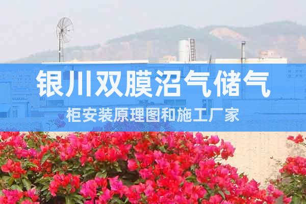銀川雙膜沼氣儲氣柜安裝原理圖和施工廠家