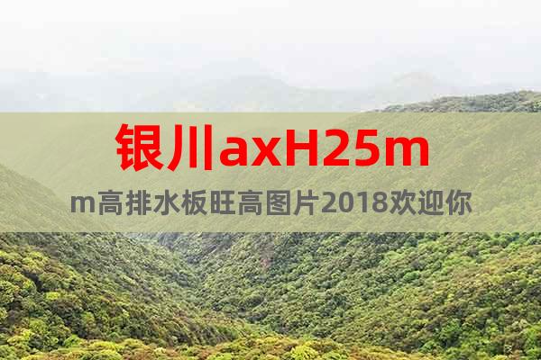 銀川axH25mm高排水板@旺高圖片2018歡迎你