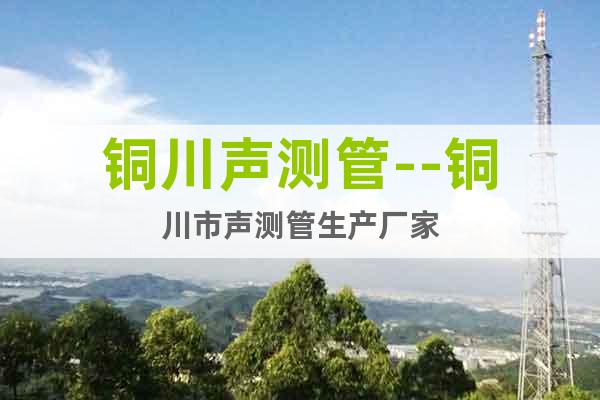 銅川聲測管--銅川市聲測管生產(chǎn)廠家