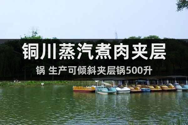 銅川蒸汽煮肉夾層鍋 生產(chǎn)可傾斜夾層鍋500升