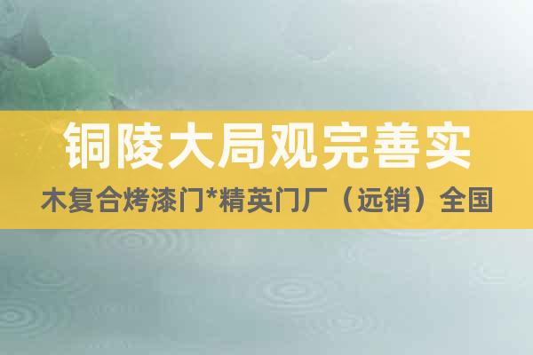 銅陵大局觀完善實木復(fù)合烤漆門*精英門廠（遠(yuǎn)銷）全國