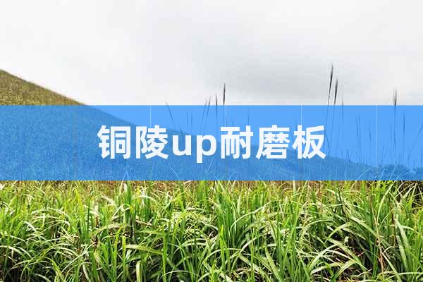 銅陵up耐磨板