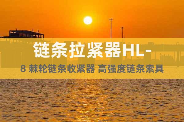 鏈條拉緊器HL-8 棘輪鏈條收緊器 高強度鏈條索具