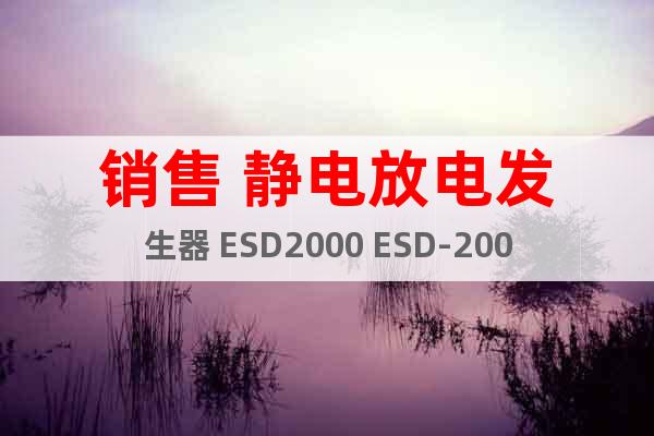 销售 静电放电发生器 ESD2000 ESD-2000