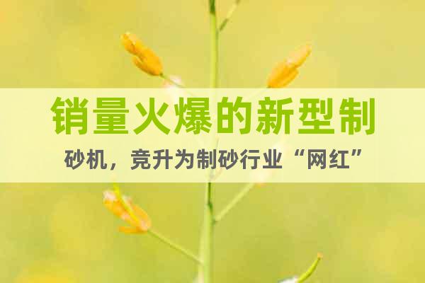 銷(xiāo)量火爆的新型制砂機(jī)，競(jìng)升為制砂行業(yè)“網(wǎng)紅”
