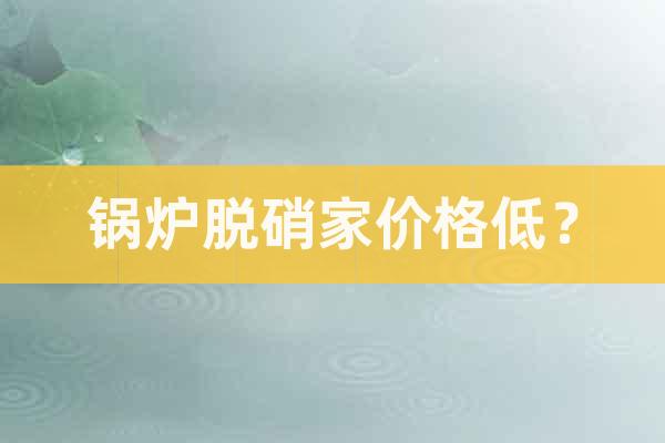 鍋爐脫硝家價(jià)格低?