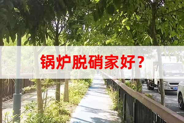 鍋爐脫硝家好?