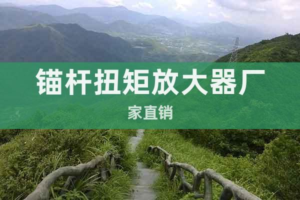 錨桿扭矩放大器廠家直銷