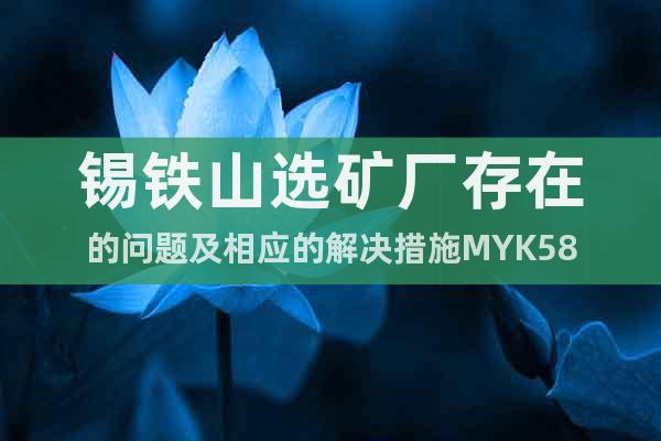 錫鐵山選礦廠存在的問題及相應(yīng)的解決措施MYK58