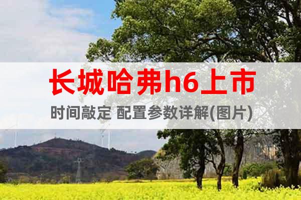 長城哈弗h6上市時間敲定 配置參數(shù)詳解(圖片)