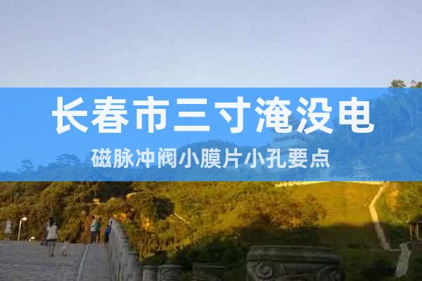 長(zhǎng)春市三寸淹沒電磁脈沖閥小膜片小孔要點(diǎn)