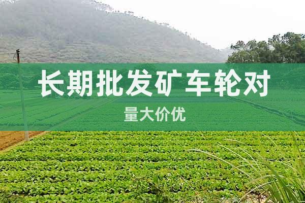 長期批發(fā)礦車輪對 量大價優(yōu)