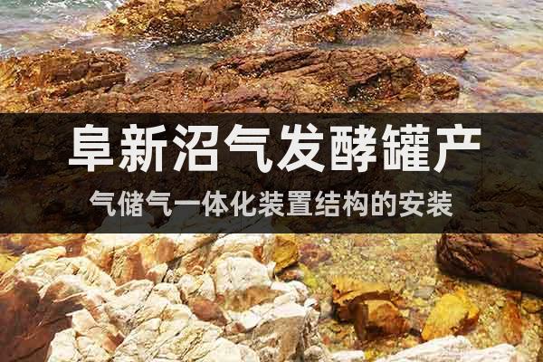 阜新沼氣發(fā)酵罐產(chǎn)氣儲氣一體化裝置結(jié)構(gòu)的安裝