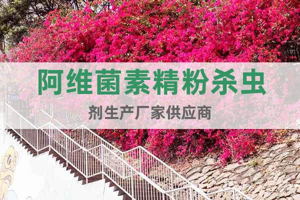阿維菌素精粉殺蟲劑生產(chǎn)廠家供應商