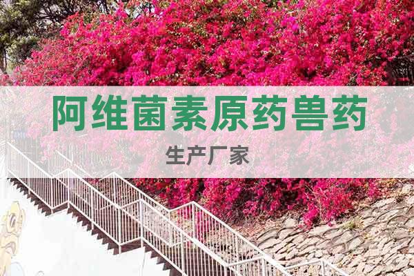 阿維菌素原藥獸藥生產(chǎn)廠家