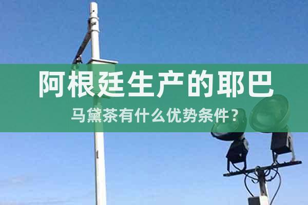 阿根廷生產(chǎn)的耶巴馬黛茶有什么優(yōu)勢條件？
