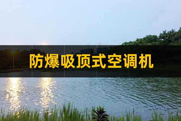 防爆吸頂式空調(diào)機