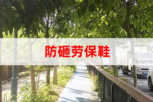 防砸勞保鞋