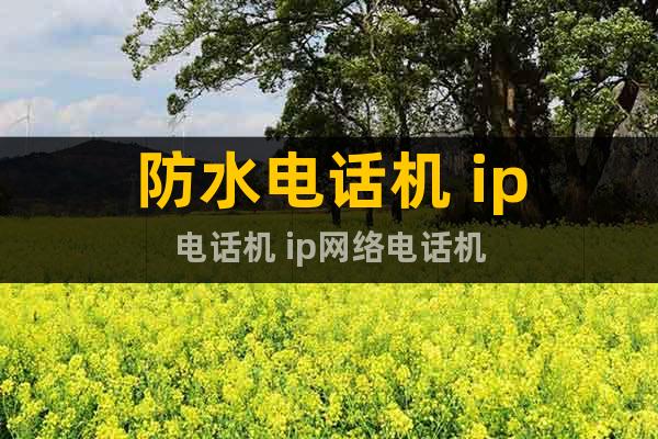 防水電話機 ip電話機 ip網絡電話機