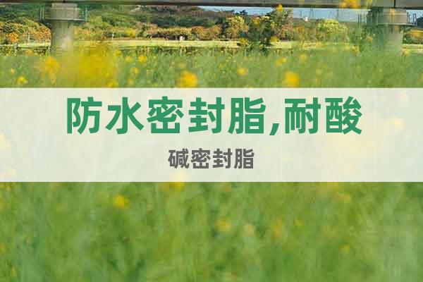 防水密封脂,耐酸堿密封脂