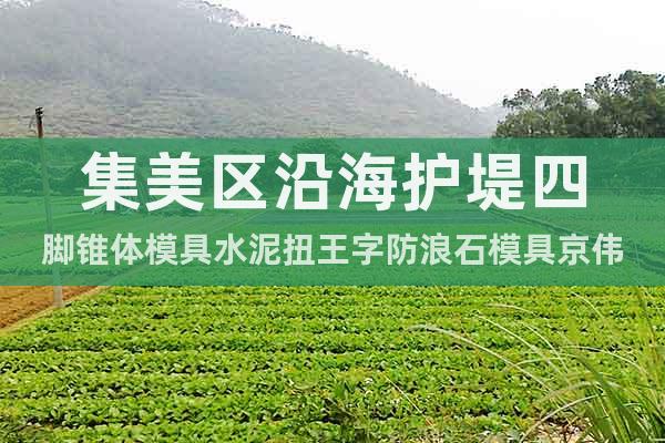 集美區(qū)沿海護堤四腳錐體模具水泥扭王字防浪石模具京偉