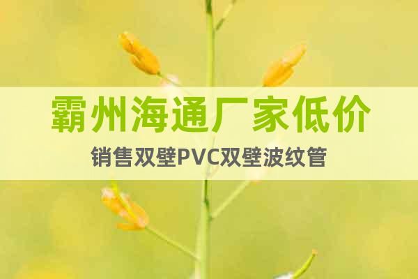 霸州海通厂家低价销售双壁PVC双壁波纹管