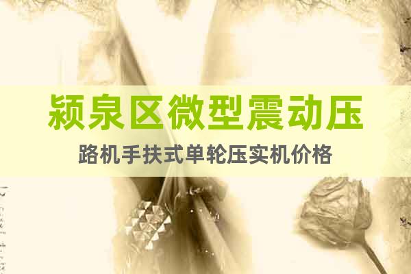 潁泉區(qū)微型震動壓路機手扶式單輪壓實機價格