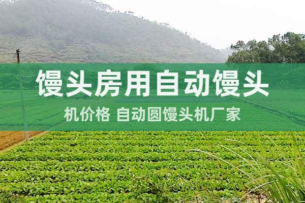 饅頭房用自動(dòng)饅頭機(jī)價(jià)格 自動(dòng)圓饅頭機(jī)廠家