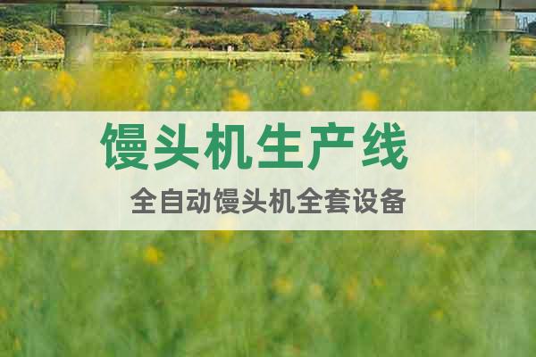 饅頭機(jī)生產(chǎn)線  全自動(dòng)饅頭機(jī)全套設(shè)備