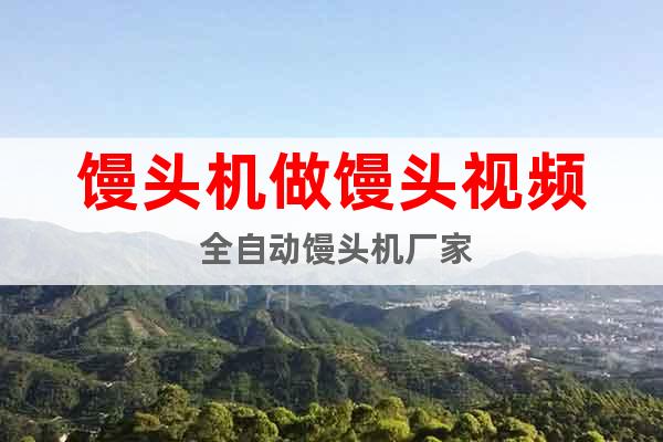 饅頭機(jī)做饅頭視頻 全自動(dòng)饅頭機(jī)廠家