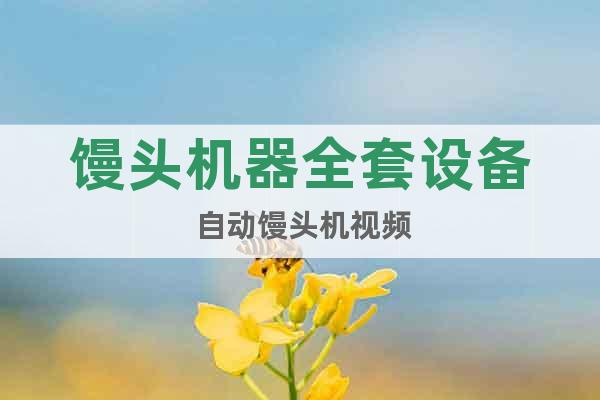 饅頭機(jī)器全套設(shè)備 自動(dòng)饅頭機(jī)視頻