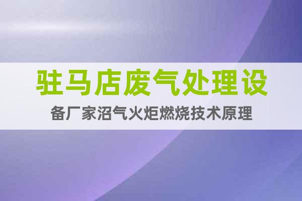 駐馬店廢氣處理設(shè)備廠家沼氣火炬燃燒技術(shù)原理