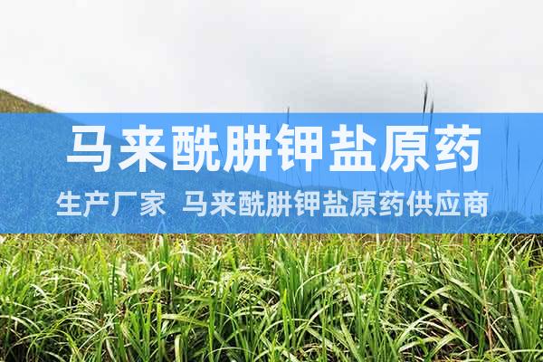 馬來酰肼鉀鹽原藥生產(chǎn)廠家  馬來酰肼鉀鹽原藥供應(yīng)商
