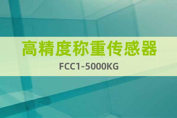 高精度称重传感器FCC1-5000KG