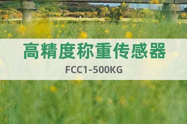 高精度称重传感器FCC1-500KG
