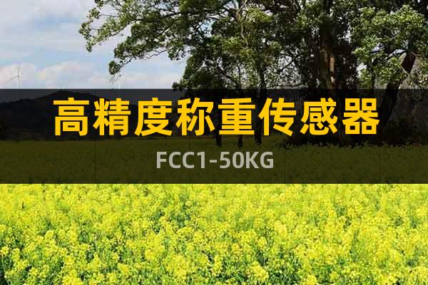 高精度称重传感器FCC1-50KG